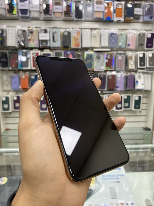 Xs max