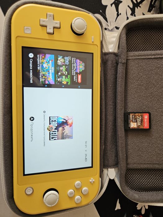 Nintendo switch lite