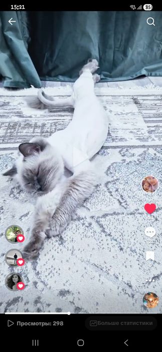 Отдам в хорошие руки