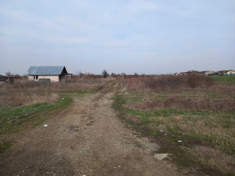 Tartasesti , proprietar , lot intravilan