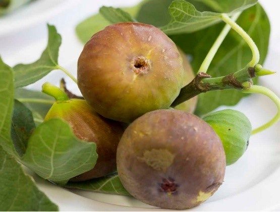 Smochin firoma dulce