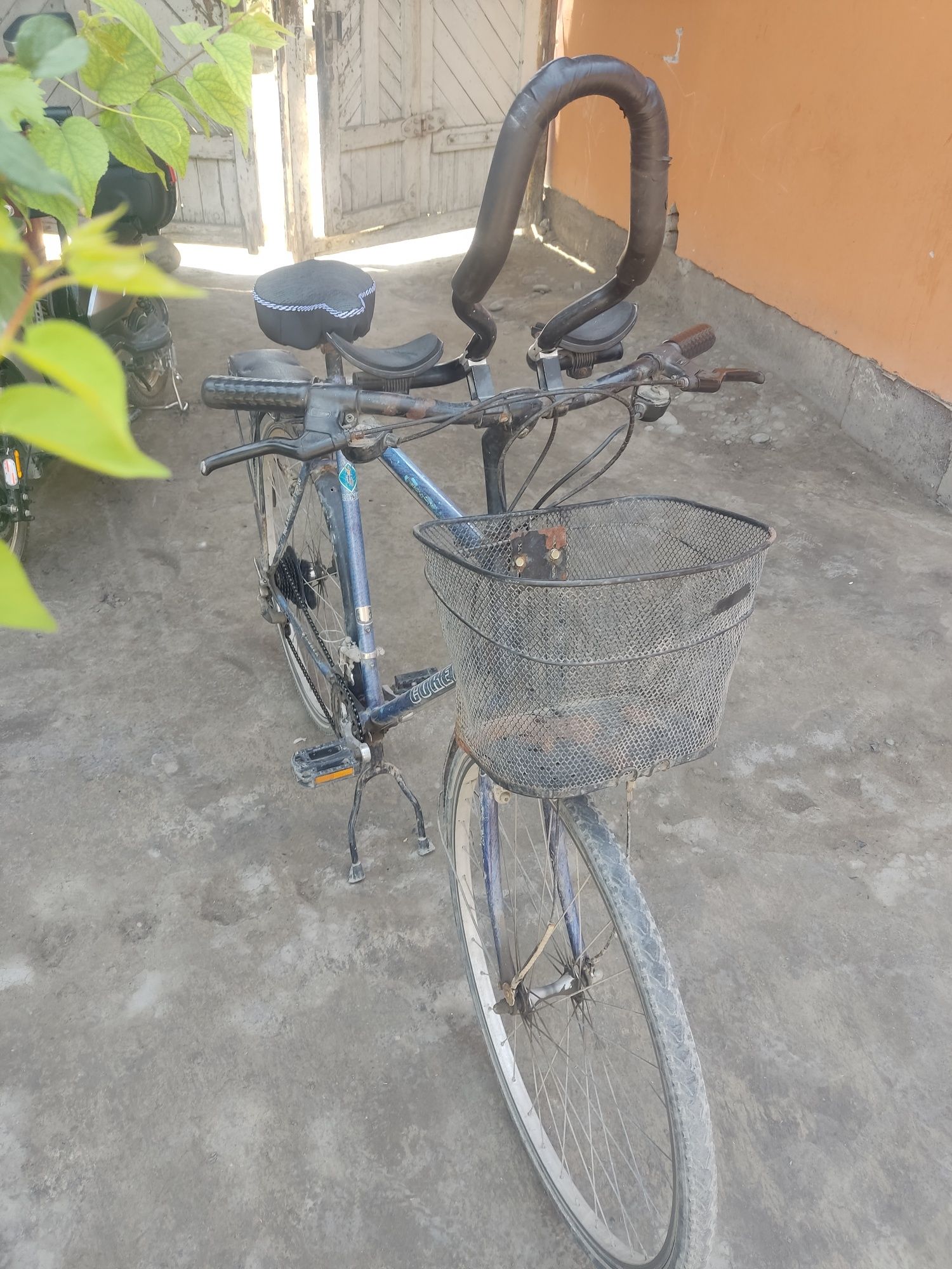 Velosapet german