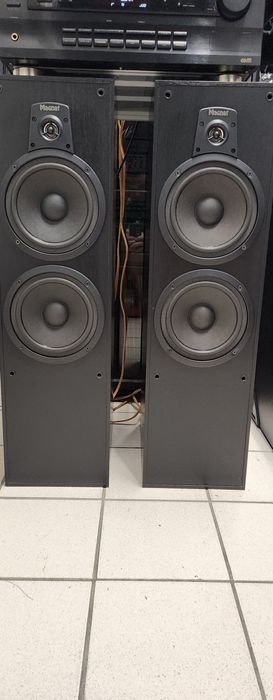 Boxe Bass Reflex Magnat 75/150 Watt