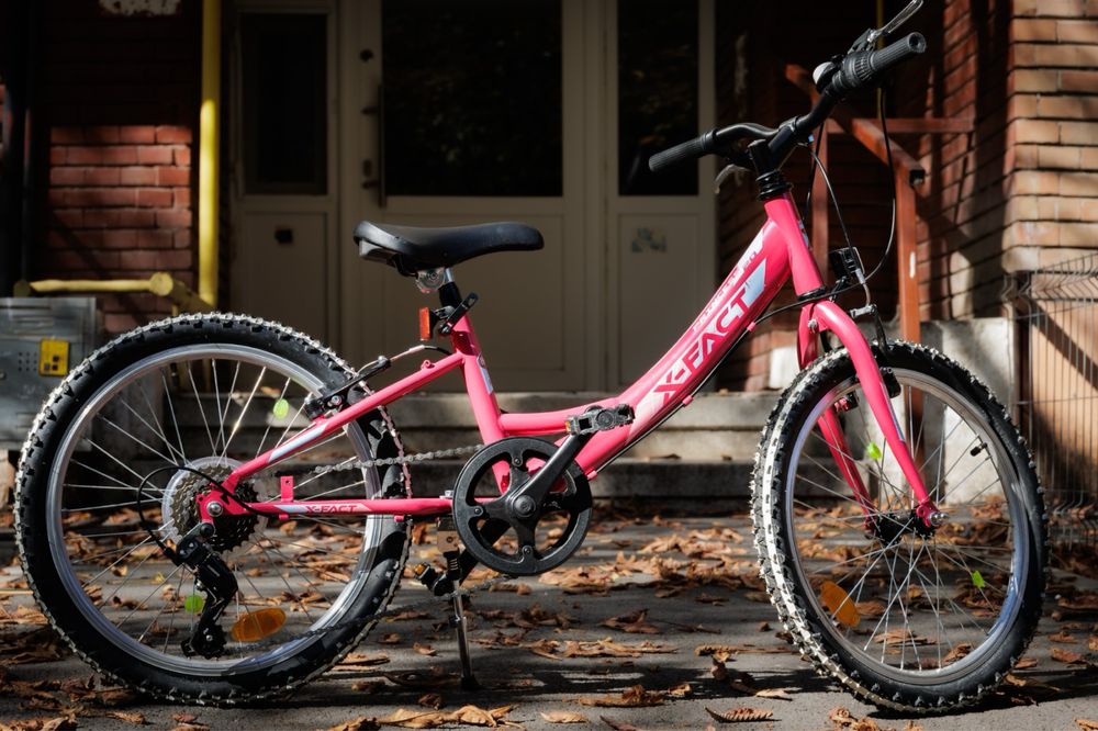 Bicicleta roz MTB Princess 20"
