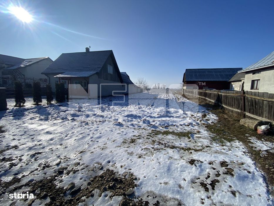 Teren | Maneuti | Strada principala | 38 ARI