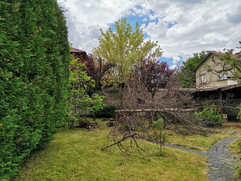 Почистване на дворове. Косене на трева, храсти, рязане на дървета.