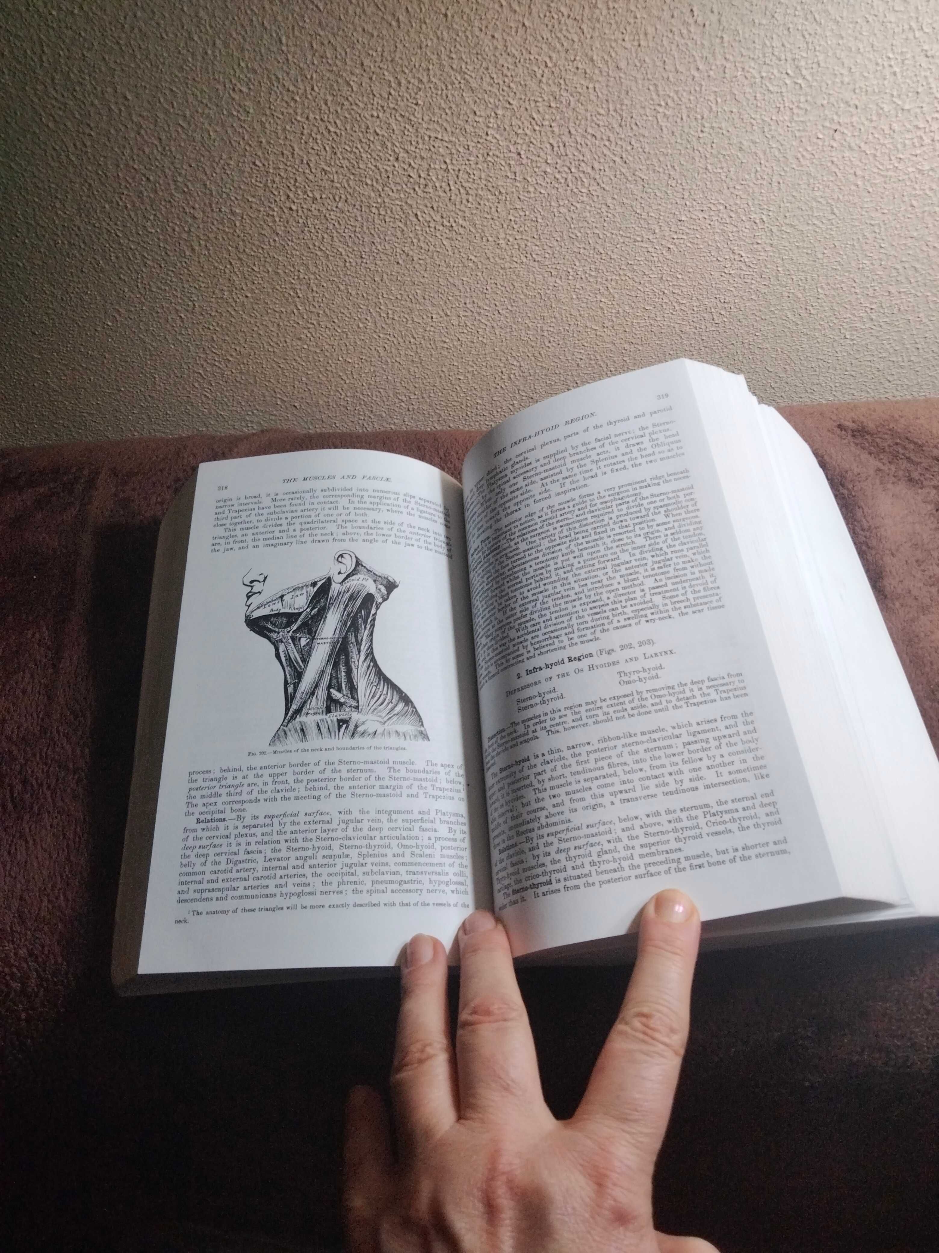 Vând carte Gray's Anatomy