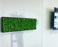 Tablou licheni verde deschis 100x30