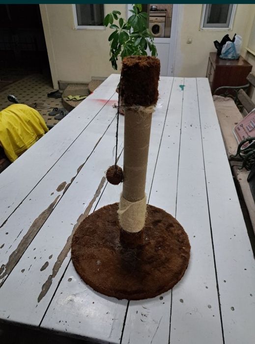 Две когтеточки для кошек