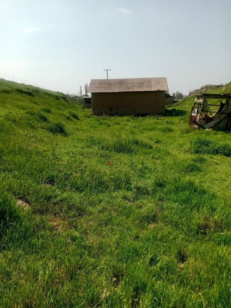 Yer Uchastkasi Sotiladi!  Narx sotixga yozilgan