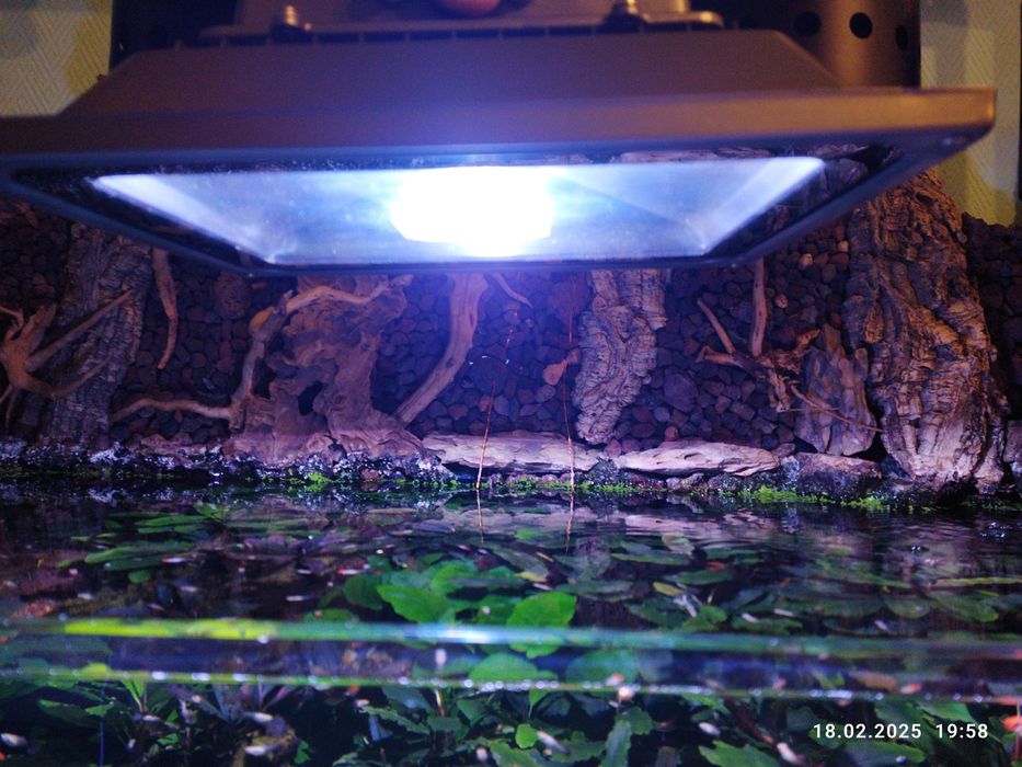 Светильник прожектор