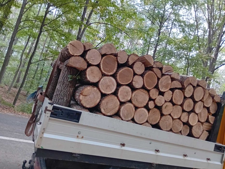 Vând ceuri paletizate de fag