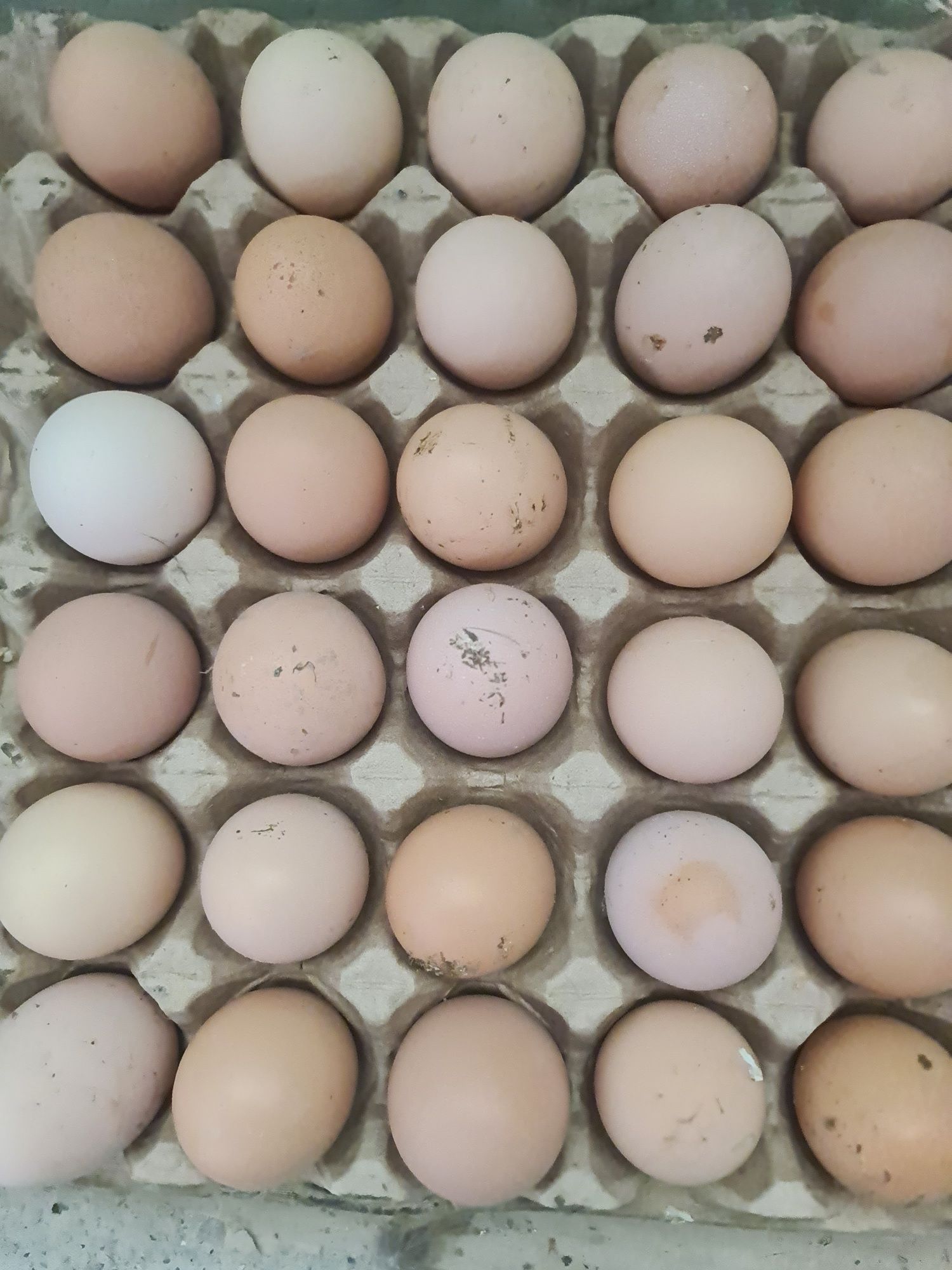 Продам инкубационные яйца разных пород кур.