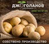 Картофи за консумация и семена Сорт АГРИЯ СОРАЯ РЕД ФФАНТАЗИ 1.00лева
