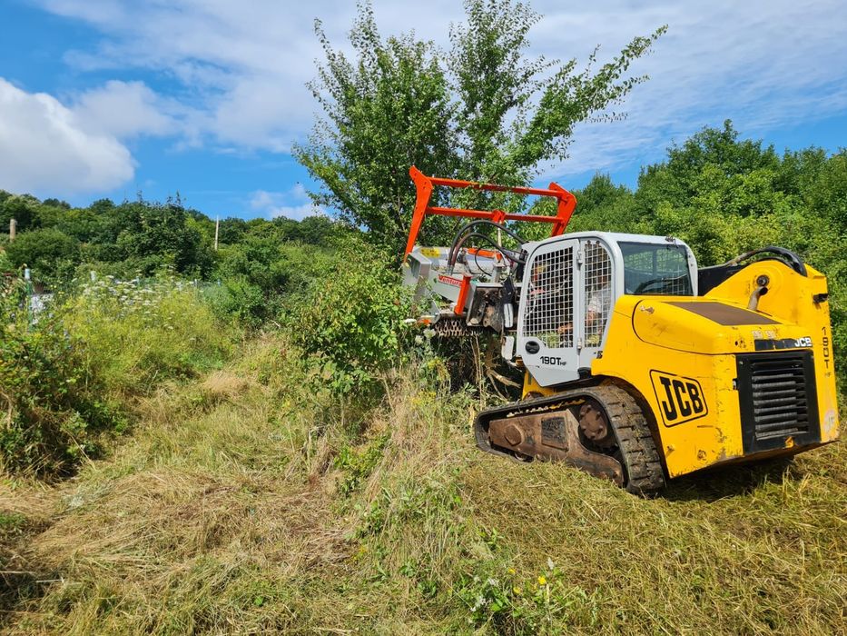 Curățare teren, curățare pasuni, defrisare, intretinere