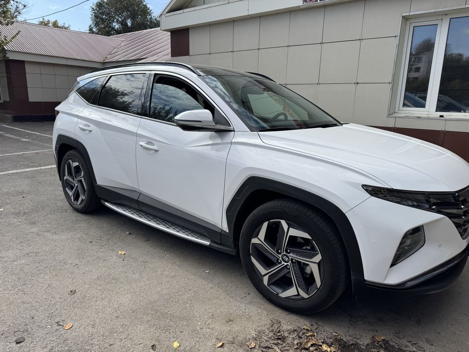 Пороги на Хюндай туксон