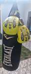 Sac de box Everlast + manusi & aparatoare Armura. Citiți descrierea!