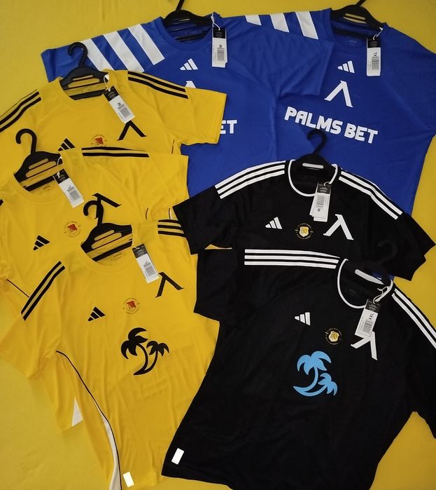 "Официални мачови фланелки", на Левски София, от сезон 24/25г. 110г.