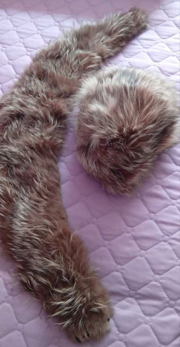 Шапка и яка от сребърна лисица