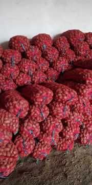 Cartofi consum Carrera Bellarosa Red Fantasy Ultra