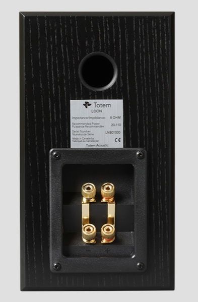 Totem Loon super pret boxe High-End