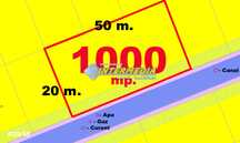 Vanzare 1000 mp Teren intravilan Alba Micesti cu deschidere 50 m si