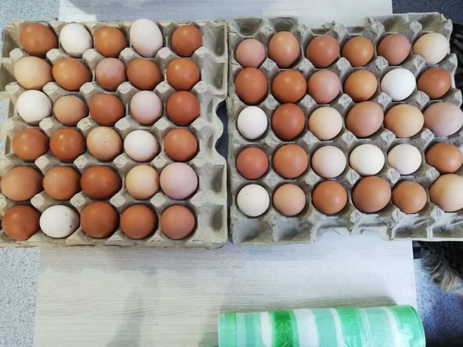 Домашние куриные яйца по 90 тенге