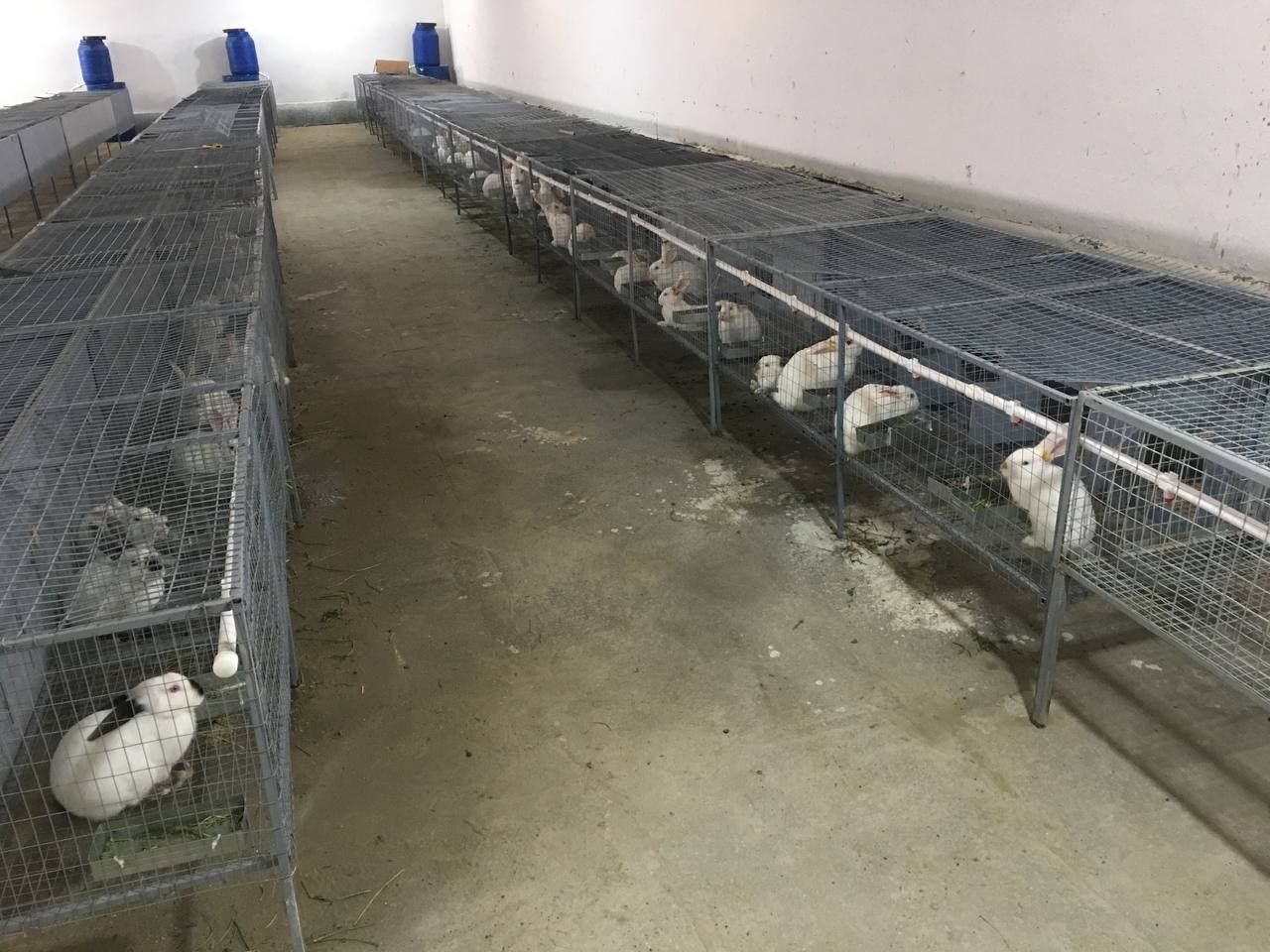 Tayor ferma sotiladi 2 gektar arzon