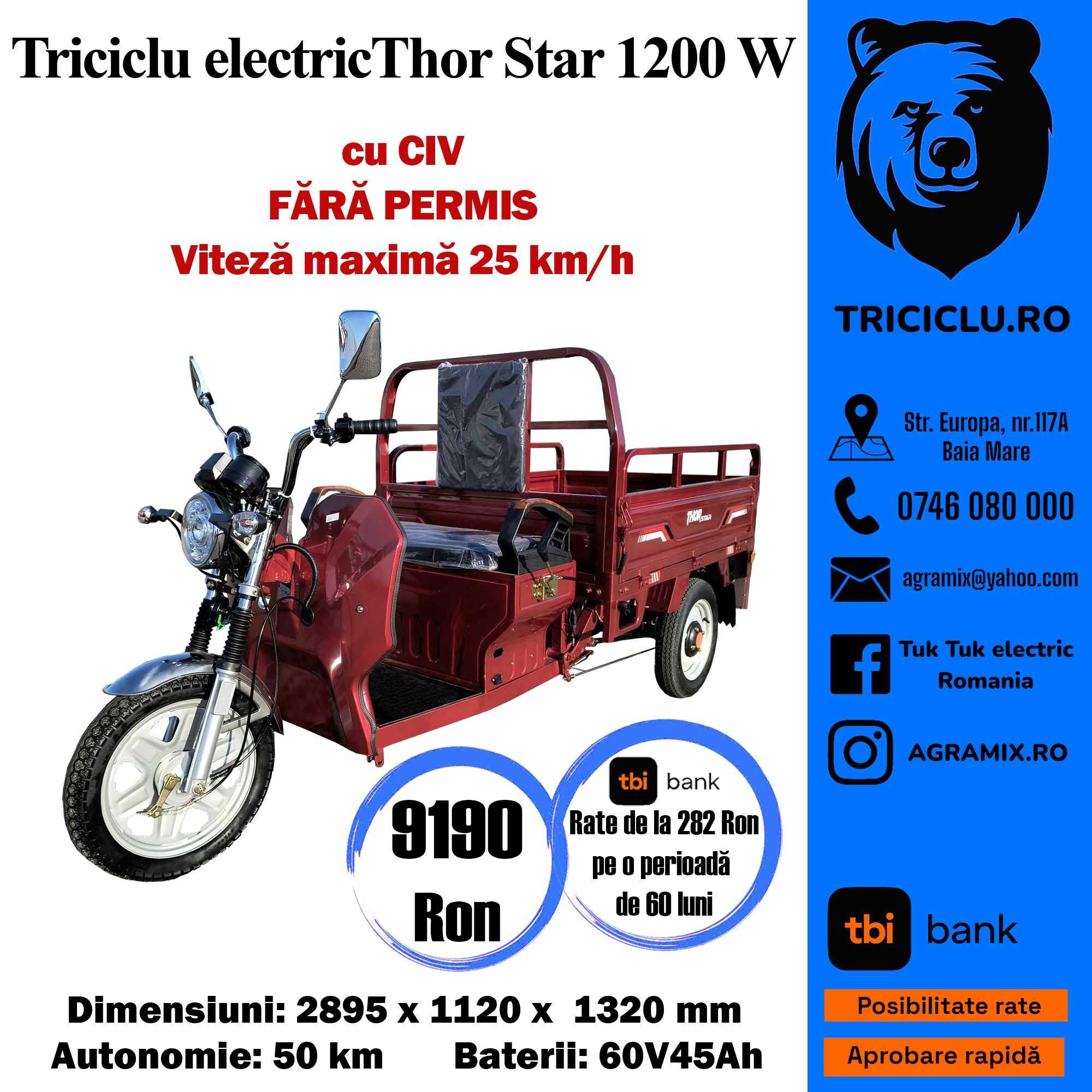 Triciclu electric cu bena fara permis Thor Star Visiniu nou Agramix