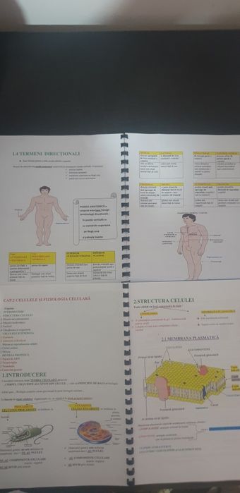 Meditații   la biologie