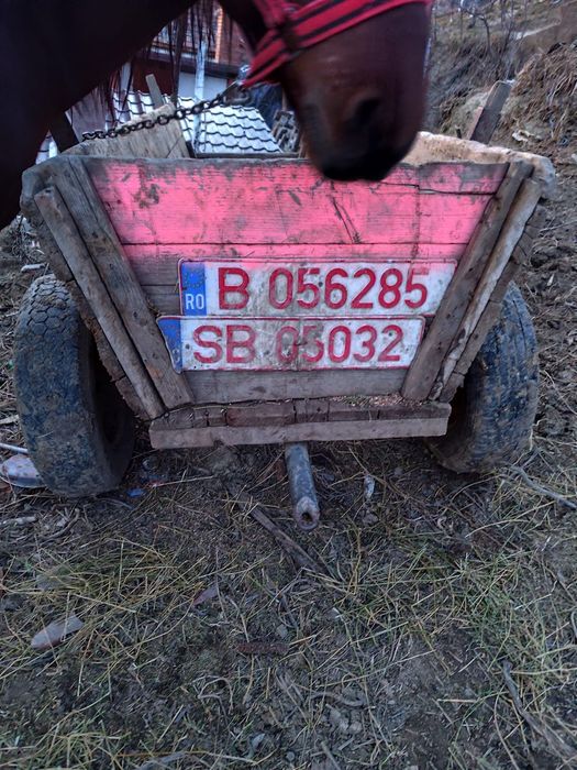 Caruț de vânzare cititi descrierea!