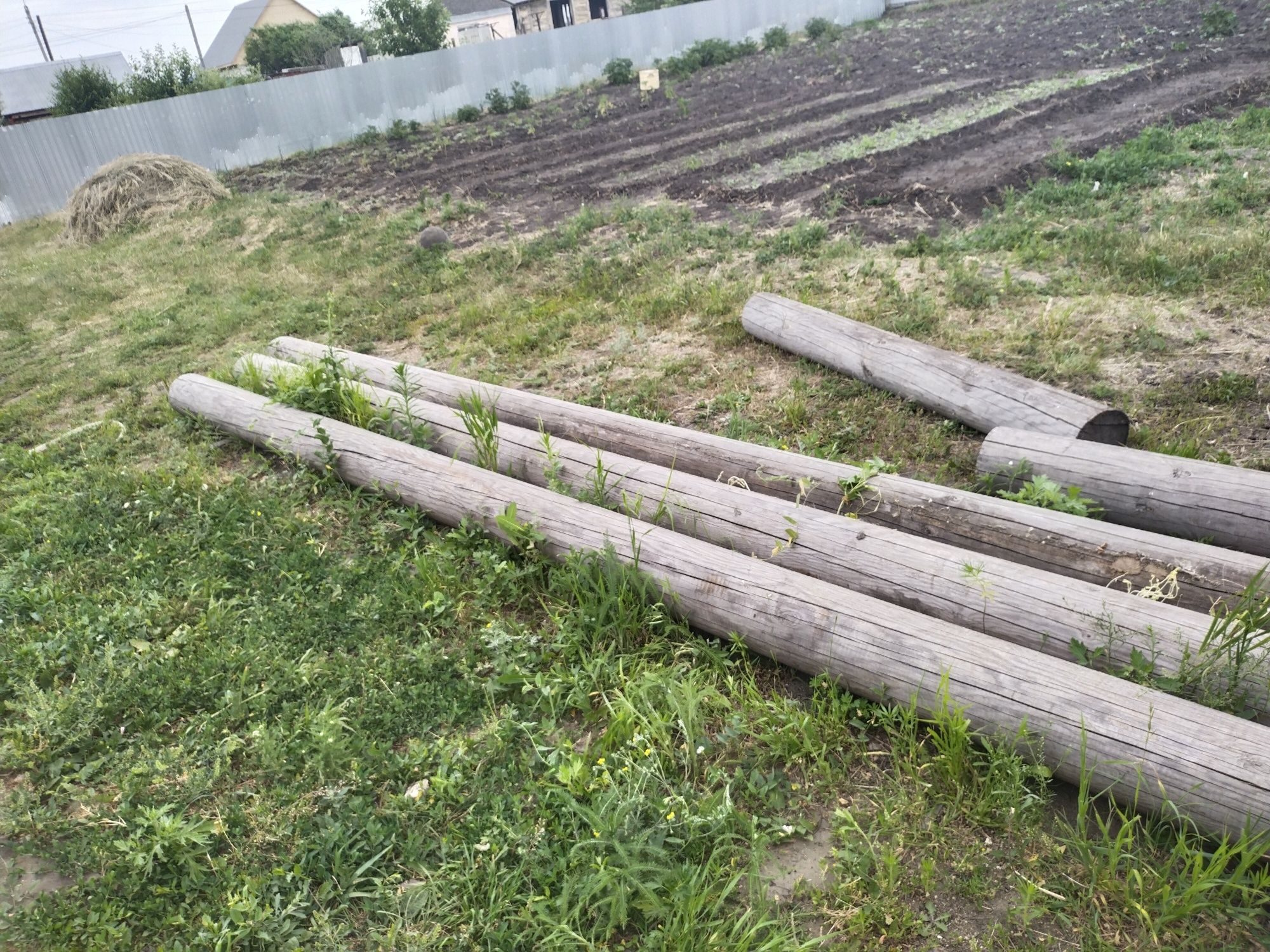 Продам кругляк бревна