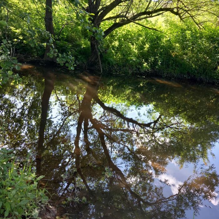 Имение на райско място