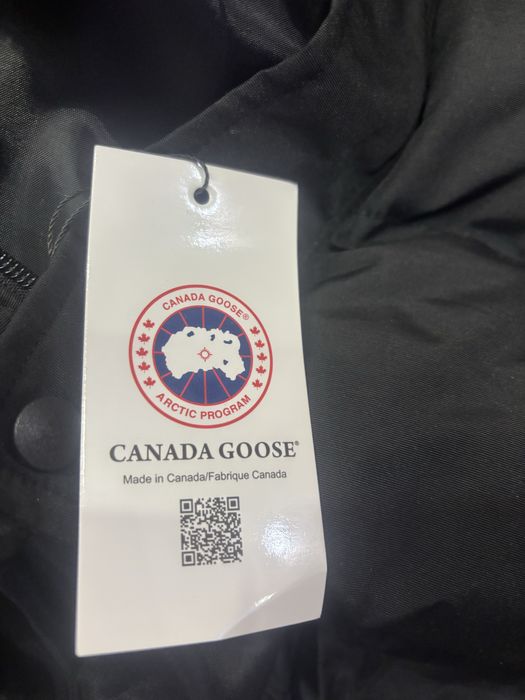Vesta Canada Goose barbat L