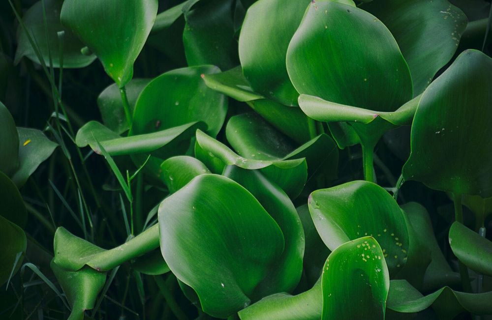 Tamron 18-270mm f/3.5-6.3 Di II VC PZD EF-S обектив Канон