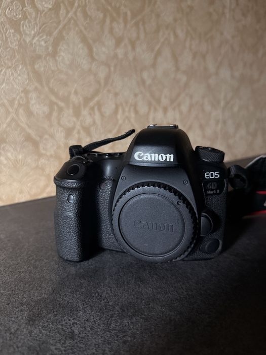 Canon 6d mark2 24-105L