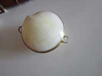 rar Cutie victoriana scoica Mother of pearl si alama handmade 1920