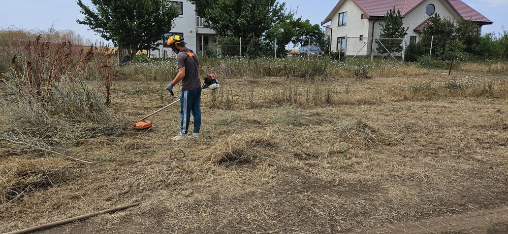Defrisare mecanizata -curatare terenuri transport resturi vegetale