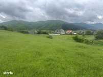 Teren,