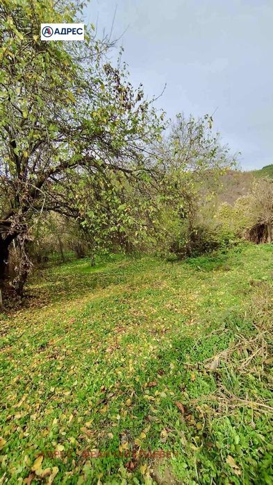 Къща в Ловеч, област-с.Терзийско площ 100 цена 33234