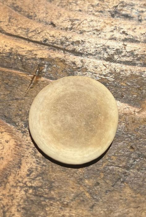 Фосил от кит – Cetacean epiphysis („whale cookie“)