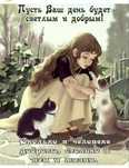 Передержка    котиков