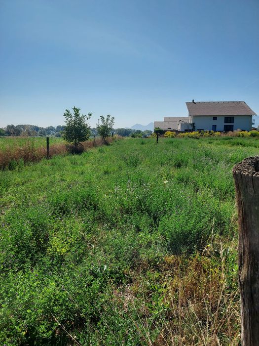 Vând teren intravilan Stupini cu certificat de urbanism de informare
