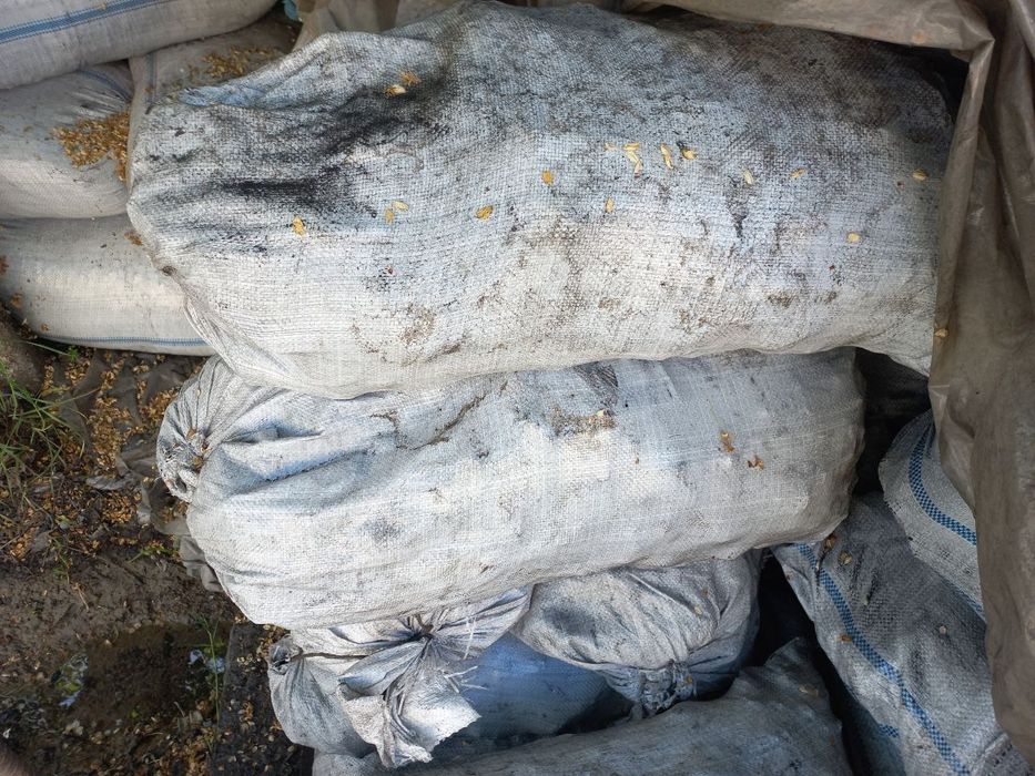 Koʼmir qirgʼiz va shubarkol va angren hamasidan bor dastafka