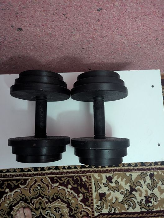Gantel Гантели 12кг 12kg