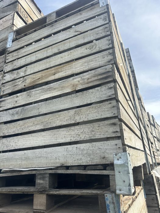 Boxpaleti lemn utilizati