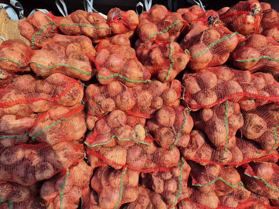 Vând sfeclă roșie