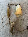 Lampa veioza din corn