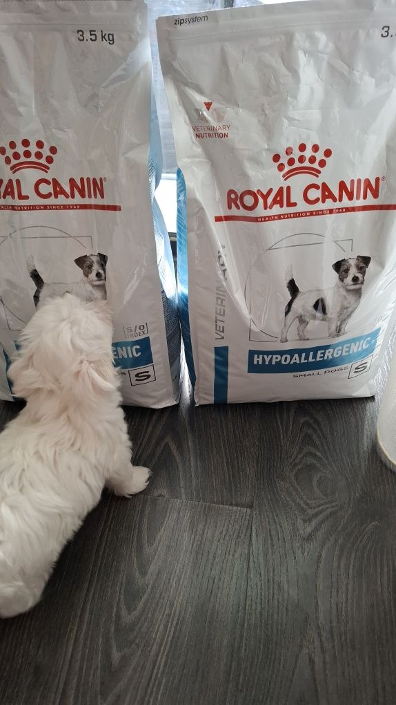 Royal canin hypoallergenic
