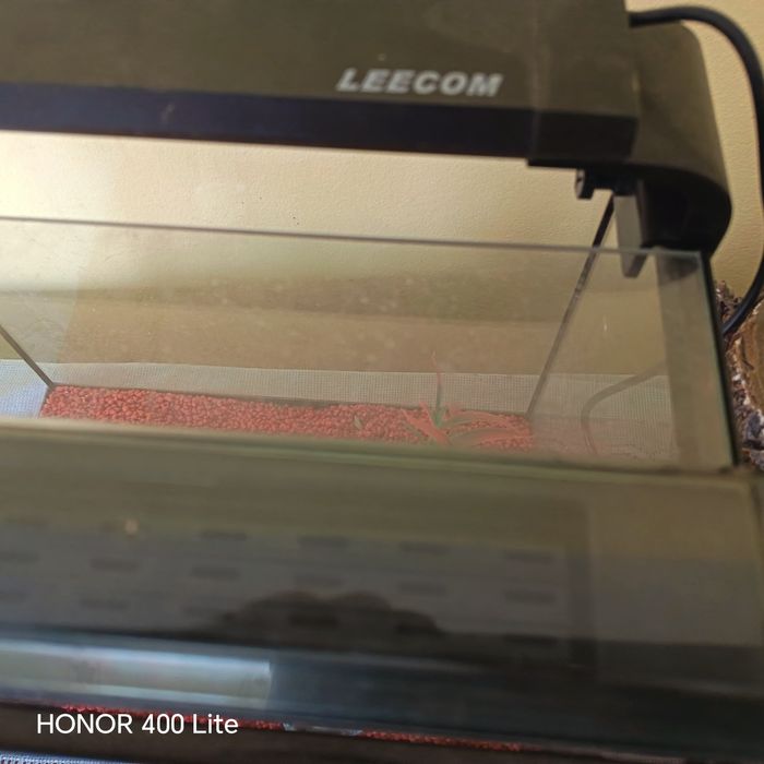 Vând acvariu   prețul este negociabil